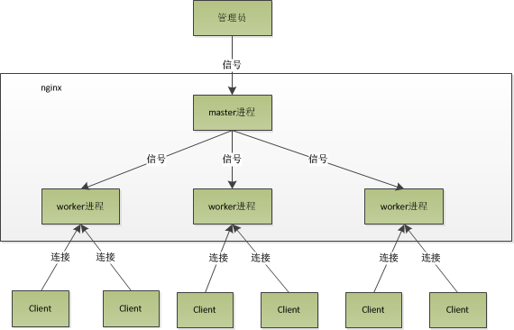 nginx的进程模型